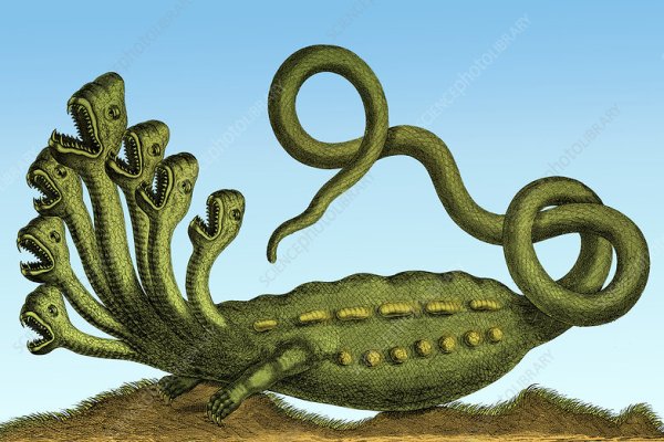 Kraken 2krn at