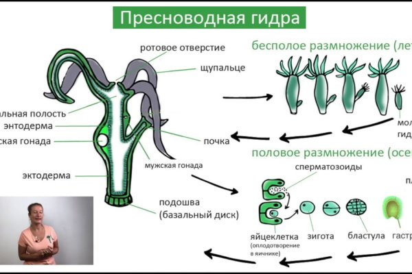 Сайт krn