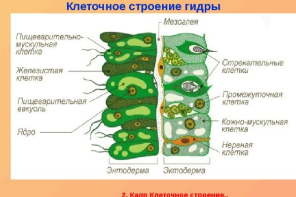 Кракен открылся