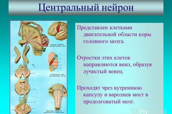 Логин и пароль от кракен