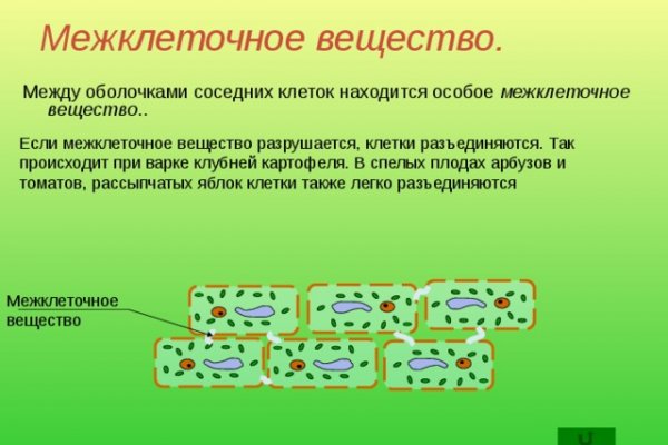 Кракен даркнет что известно